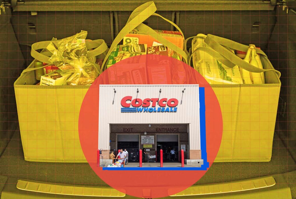 Costco Shoppers Need These ‘Incredibly Sturdy’ Shopping Bags