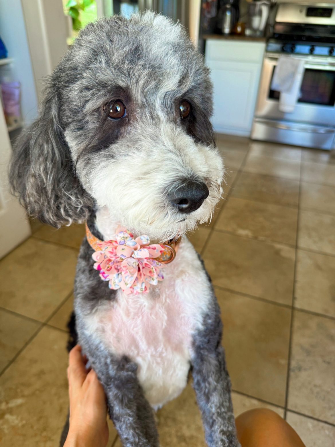 8.1 Friday Faves - The Fitnessista