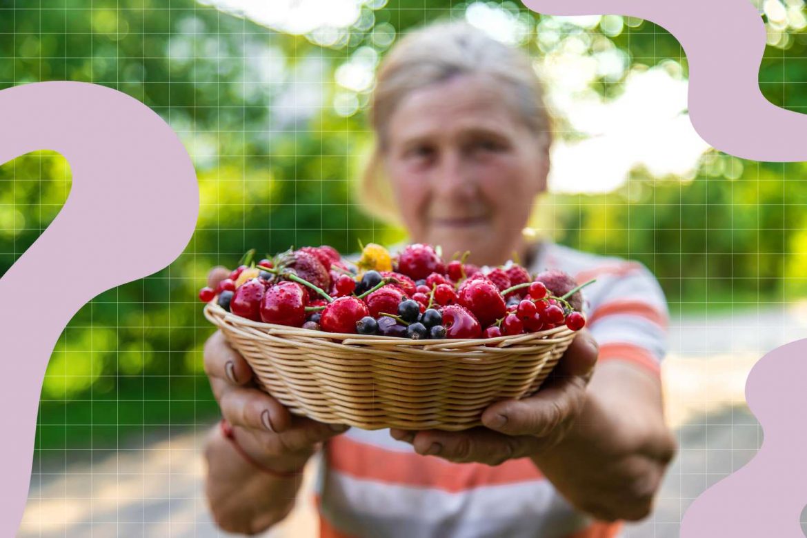 How to Store Blueberries So You Always Have Them on Hand