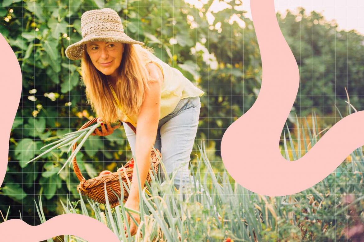 Health Benefits of Onions and How to Store Them