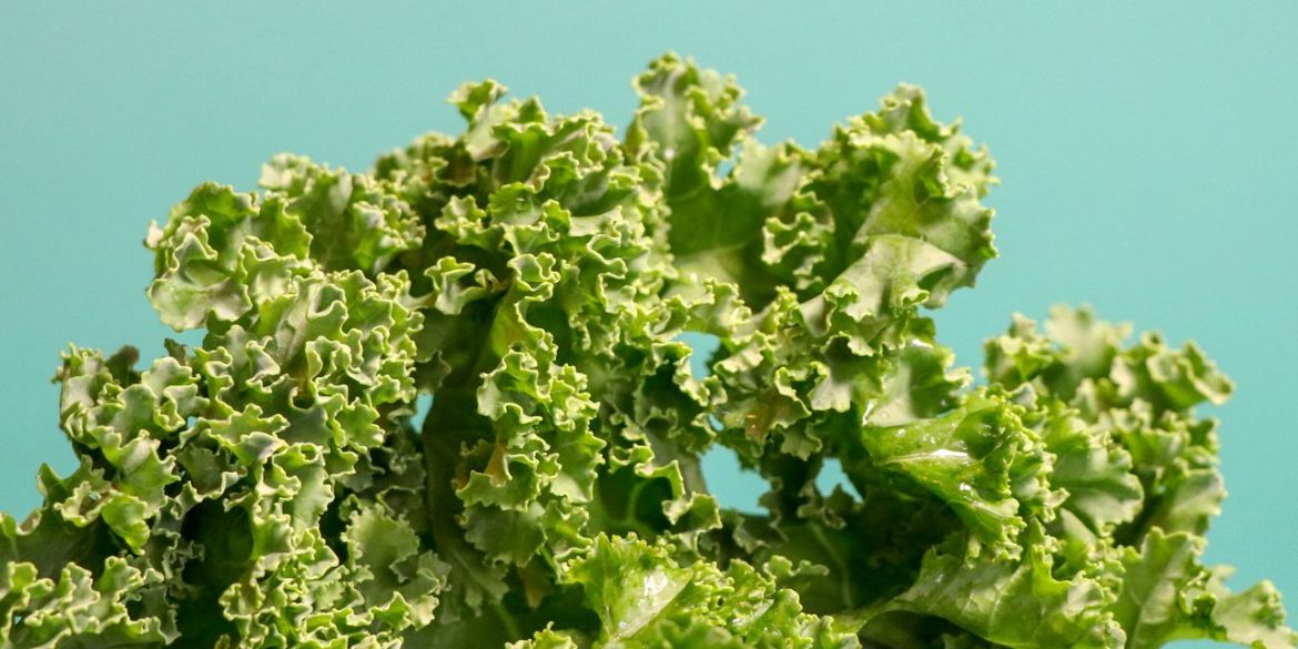 The Best Foods for Mental Health, According to Science