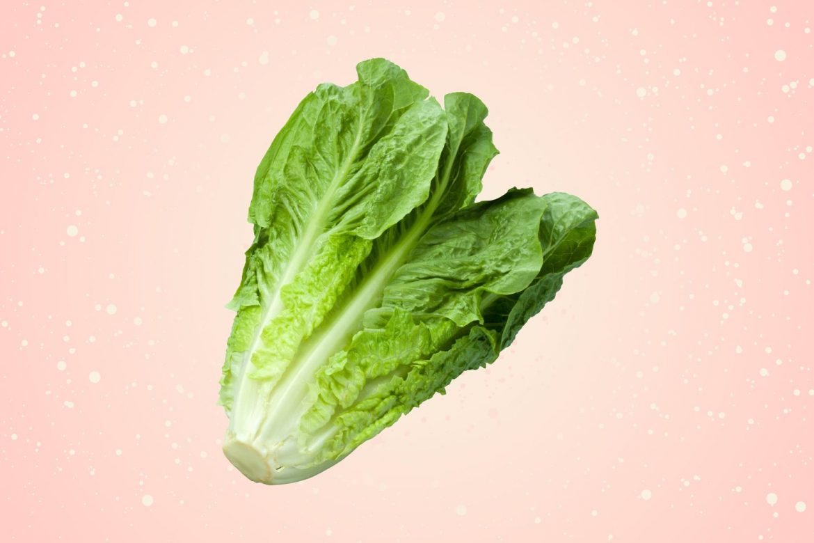 Is It Safe to Eat Romaine Lettuce?