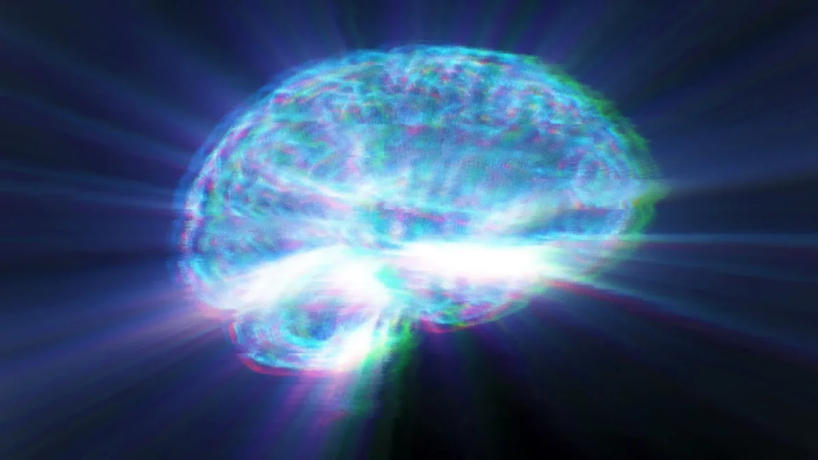 Sweeteners in diet drinks may steal years from the brain